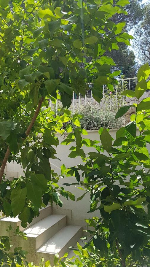 Apartman Di Mali Lošinj Esterno foto